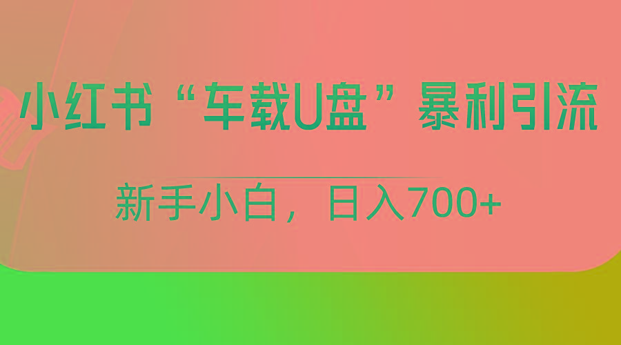 小红书“车载U盘”项目，暴利引流，新手小白轻松日入700+-网赚项目平台