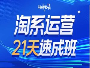 淘系运营21天速成班35期，年前最后一波和2025方向-网赚项目平台