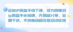 全案IP操盘手线下课,成为现象级ip操盘手必修课,无保留分享,全是干货,不讲废话超深度培训实操-网赚项目平台