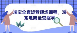 淘宝全套运营现场课程，淘系电商运营必学-网赚项目平台