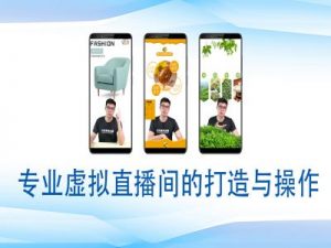 个人虚拟直播间的搭建与操作,专业虚拟直播间的打造与操作-网赚项目平台