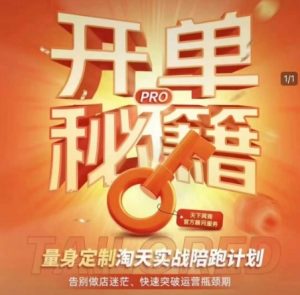 淘宝开单秘籍PRO，量身定制淘天实战陪跑计划，告别做店迷茫、快速突破运营瓶颈期-网赚项目平台