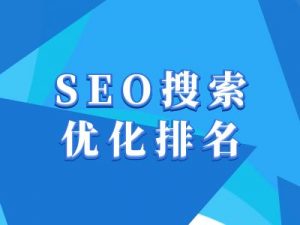 抖音搜索SEO教程，抖音SEO搜索优化排名-网赚项目平台
