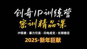 2025年“知识付费IP训练营”小白避坑年赚百万,暴力引流,闪电成交-网赚项目平台