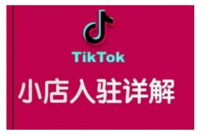 TikTok跨境小店运营全攻略,帮助你独立运营TK跨境小店的能力,实现销量增长-网赚项目平台