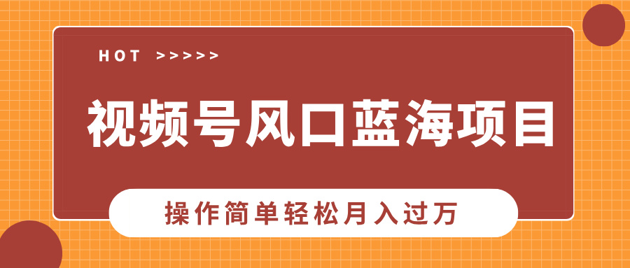 视频号风口蓝海项目，中老年人的流量密码，操作简单轻松月入过万-网赚项目平台