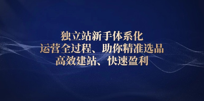 独立站新手体系化 运营全过程，助你精准选品、高效建站、快速盈利-网赚项目平台