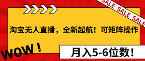 淘宝无人直播，全新起航！可矩阵操作，月入5-6位数！-网赚项目平台