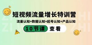 短视频流量增长特训营：流量认知+数据认知+起号认知+产品认知（10节课）-网赚项目平台