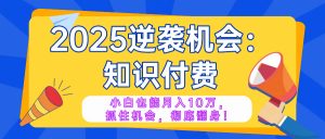 2025逆袭项目——知识付费，小白也能月入10万年入百万，抓住机会彻底翻...-网赚项目平台