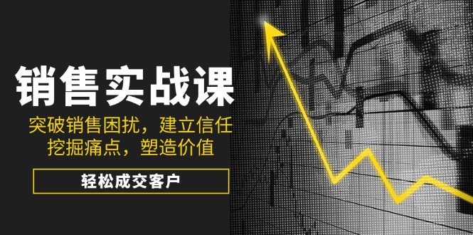 销售实战课，突破销售困扰，建立信任，挖掘痛点，塑造价值，轻松成交客户-网赚项目平台