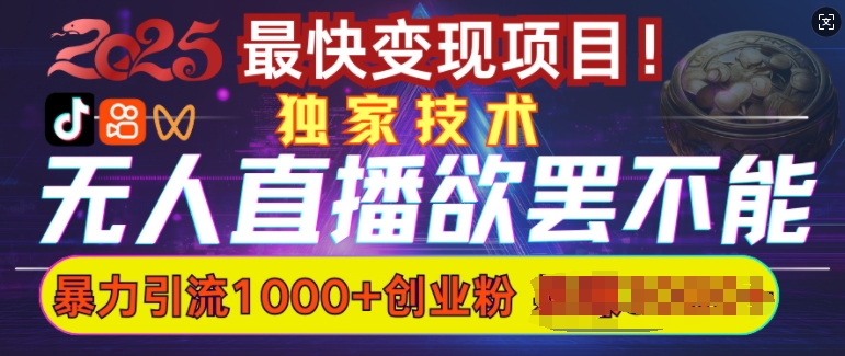欲罢不能的无人直播引流，超暴力日引流1000+高质量精准创业粉-网赚项目平台