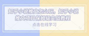知乎小说推文怎么玩，知乎小说推文项目保姆级实战教程-网赚项目平台