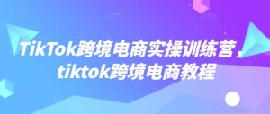 TikTok跨境电商实操训练营，tiktok跨境电商教程-网赚项目平台