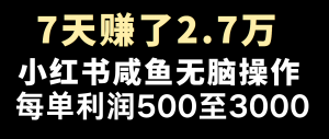 全网首发，7天赚了2.6万，2025利润超级高！-网赚项目平台
