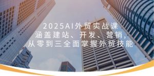 2025AI外贸实战课：涵盖建站、开发、营销, 从零到三全面掌握外贸技能-网赚项目平台
