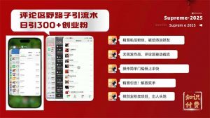 评论区野路子截流创业粉新方法,日被动加300+创业粉,精准引流被动添加...-网赚项目平台