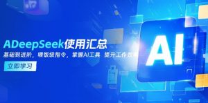 DeepSeek使用汇总,基础到进阶,提示词技巧,掌握AI工具 提升工作效率-网赚项目平台