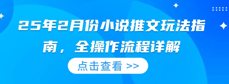 25年2月份小说推文玩法指南，全操作流程详解-网赚项目平台