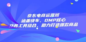 京东电商运营班：涵盖快车，DMP核心及各工具组合，助力打造爆款商品-网赚项目平台