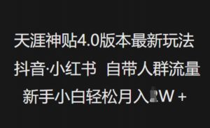 天涯神贴4.0版本最新玩法,抖音·小红书自带人群流量,新手小白轻松月入过W-网赚项目平台