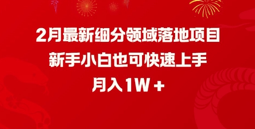 2月最新细分领域落地项目，新手小白也可快速上手，月入1W-网赚项目平台