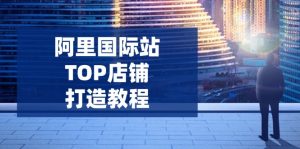 阿里国际站TOP店铺打造教程:涵盖平台到高阶,解决运营难题,提升询盘-网赚项目平台
