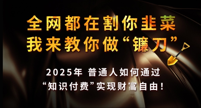 全网都在割你韭菜，我来教你做镰刀，2025年普通人如何通过 知识付费 实现财F自由【揭秘】-网赚项目平台
