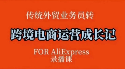 跨境电商速卖通运营课，​运营方法论+后台实操，逻辑清晰-网赚项目平台