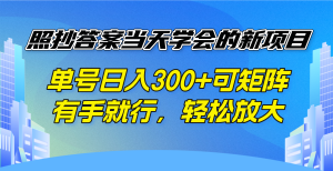 照抄答案当天学会的新项目，单号日入300 +可矩阵，有手就行，轻松放大-网赚项目平台