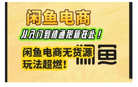 闲鱼电商实战课，从入门到精通秘籍在此，闲鱼电商无货源玩法超燃!-网赚项目平台