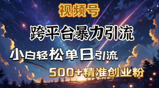 跨平台暴力引流，私域完美闭环，日引500+精准创业粉-网赚项目平台