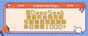 用DeepSeek做哪吒走秀视频，引爆流量涨粉利器，单日变现1k-网赚项目平台