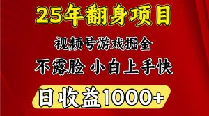 一天收益1000+ 25年开年落地好项目-网赚项目平台