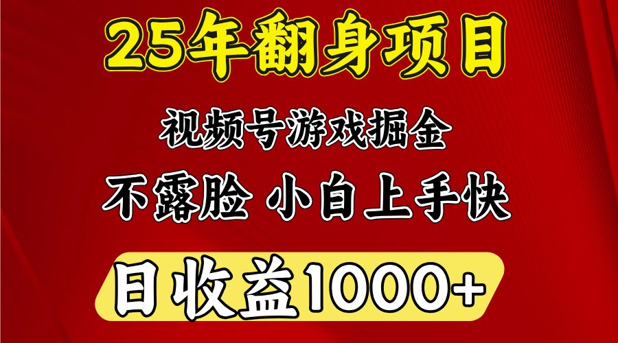 一天收益1000+ 25年开年落地好项目-网赚项目平台