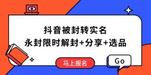 抖音被封转实名攻略，永久封禁也能限时解封，分享解封后高效选品技巧-网赚项目平台