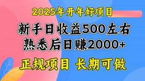 2025开年好项目，单号日收益2000左右-网赚项目平台