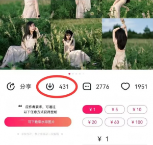 最新图虫搬运项目,收益无上限,利用AI小白也可日赚500+-网赚项目平台