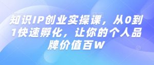 知识IP创业实操课，从0到1快速孵化，让你的个人品牌价值百W-网赚项目平台