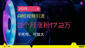 2025AI短视频引流，2个月涨粉17.2万，不死号，可放大-网赚项目平台