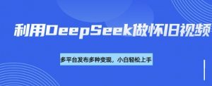 利用DeepSeek做怀旧视频，流量号多渠道变现能力强-网赚项目平台