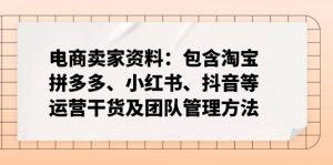 电商卖家资料：包含淘宝、拼多多、小红书、抖音等运营干货及团队管理方法-网赚项目平台
