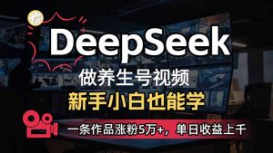 小白用DeepSeek做养生号，一条作品涨粉5万+，单日收益上千-网赚项目平台
