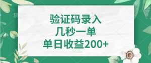 验证码录入，几秒一单，单日收益200+-网赚项目平台