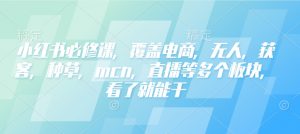 小红书必修课,覆盖电商,无人,获客,种草,mcn,直播等多个板块,看了就能干-网赚项目平台