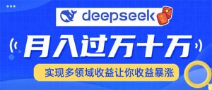 用DeepSeek席卷各大平台，快速上手实现多领域，让你收入猛增-网赚项目平台