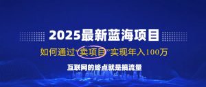 2025最新蓝海项目，零门槛轻松复制，月入10万+，新手也能操作！-网赚项目平台