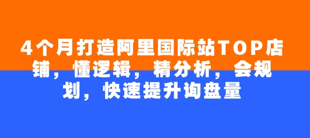4个月打造阿里国际站TOP店铺，懂逻辑，精分析，会规划，快速提升询盘量-网赚项目平台