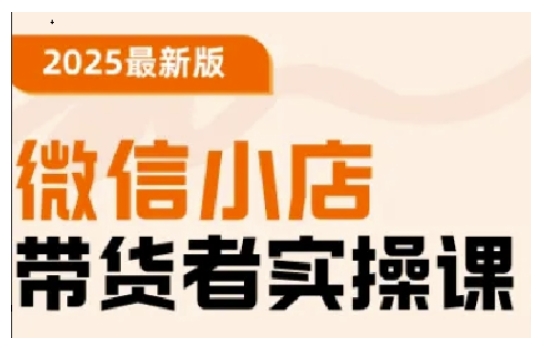 2025最新版微信小店带货者实操课，基础操作到高级运营技巧，快速上手-网赚项目平台