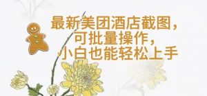 【轻云】最新美团酒店截图，可批量操作，小白也能轻松上手-网赚项目平台